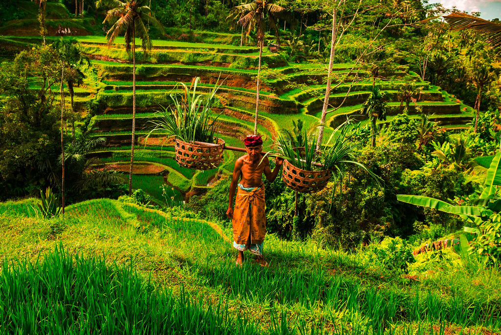 Bentang alam Bali